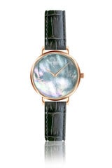 Часы женские Annie Rosewood 12C2-DG14C цена и информация | Женские часы | 220.lv