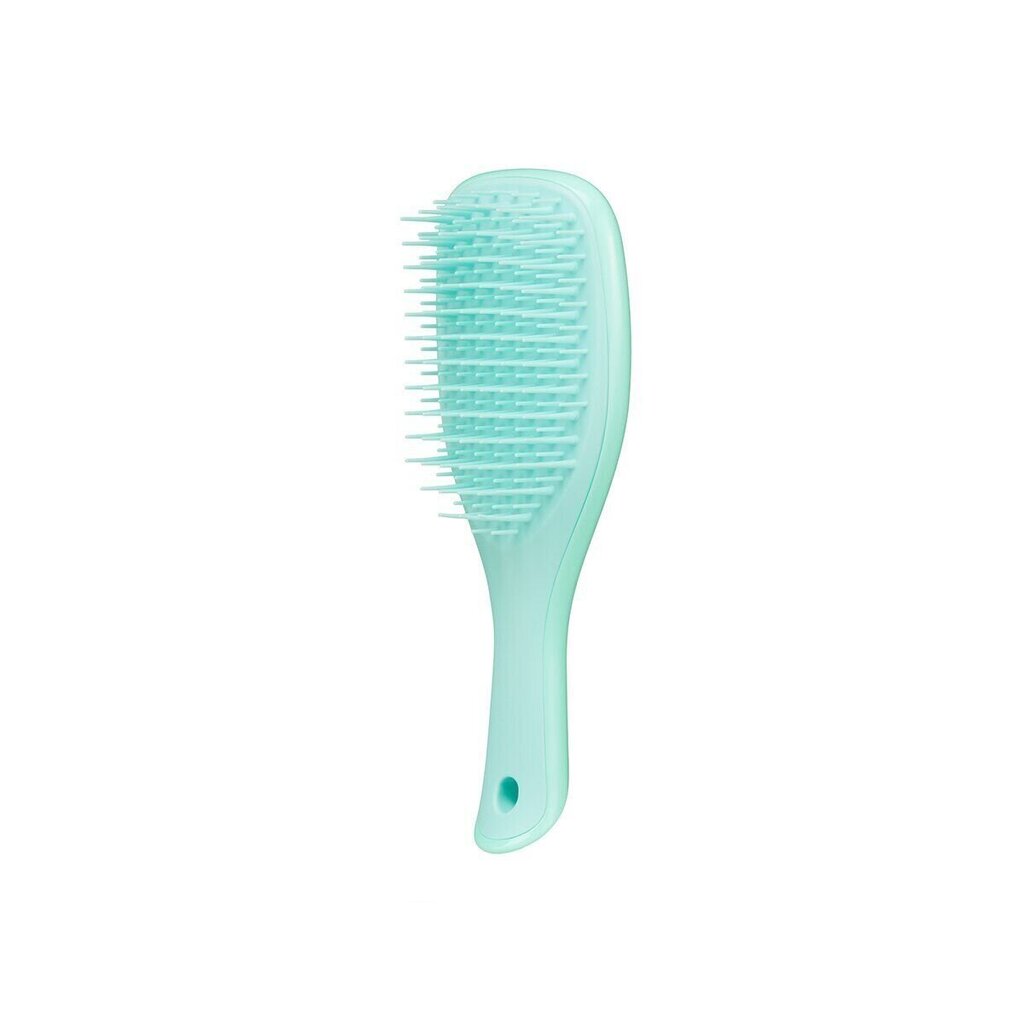 Matu suka Tangle Teezer Mini Wet Detangler, Sea Green cena un informācija | Matu sukas, ķemmes, šķēres | 220.lv