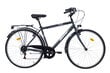 Pilsētas velosipēds Bottari Piso 28", pelēks cena un informācija | Velosipēdi | 220.lv