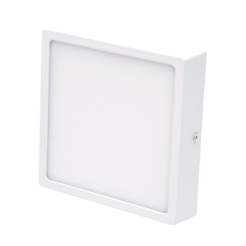 Virsapmetuma kvadrāts LED panelis "MODENA" 16W cena un informācija | Griestu lampas | 220.lv
