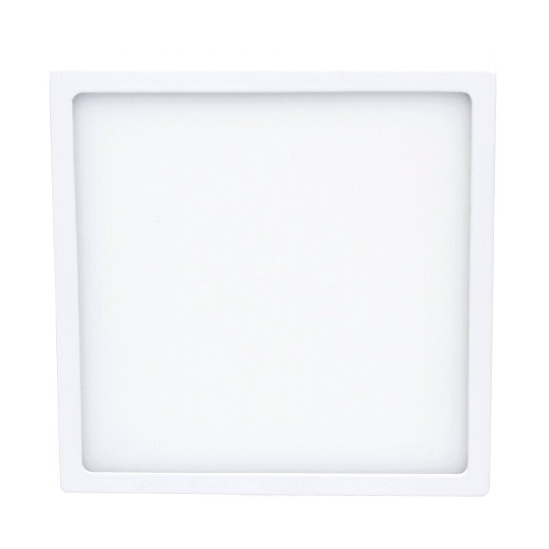 Virsapmetuma kvadrāts LED panelis "MODENA" 22W цена и информация | Griestu lampas | 220.lv