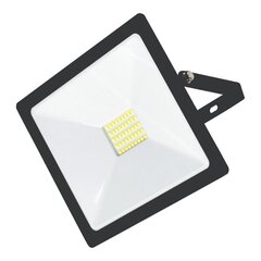 Toledo 30W светодиодный уличный прожектор цена и информация | Настенный/подвесной светильник Eye Spot 11 BL, чёрный | 220.lv