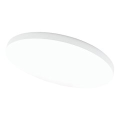 Boston 2x60W потолочный белый светодиодный светильник цена и информация | Потолочный светильник | 220.lv