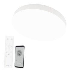 Boston 2x36W потолочный белый светодиодный светильник цена и информация | Потолочный светильник | 220.lv