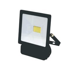 LED prožektors ar mikroviļņu sensoru "TOLEDOSENS" 20W cena un informācija | Lustras | 220.lv