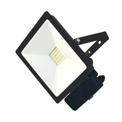 LED prožektors ar mikroviļņu sensoru "TOLEDOSENS" 30W cena un informācija | Lustras | 220.lv