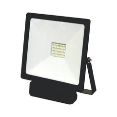LED prožektors ar mikroviļņu sensoru "TOLEDOSENS" 30W цена и информация | Люстры | 220.lv