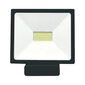 LED prožektors ar mikroviļņu sensoru "TOLEDOSENS" 50W cena un informācija | Piekaramās lampas | 220.lv