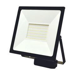 LED prožektors ar mikroviļņu sensoru "TOLEDOSENS" 100W cena un informācija | Piekaramās lampas | 220.lv