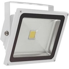 Āra LED Prožektors GX-LED-FL-20W Balts цена и информация | Уличное освещение | 220.lv