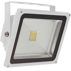 Āra LED Prožektors GX-LED-FL-30W Balts цена и информация | Уличное освещение | 220.lv