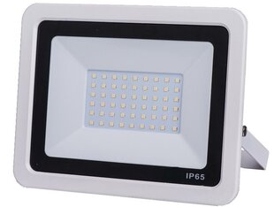 Āra LED Prožektors GR-ECO-FL-50W Balts cena un informācija | Āra apgaismojums | 220.lv