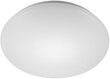 LED lampa G.LUX GR-LED-CIRCLE-D48-48W цена и информация | Griestu lampas | 220.lv