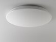 LED lampa G.LUX GR-LED-CIRCLE-D48-48W цена и информация | Griestu lampas | 220.lv