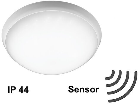 LED lampa ar kustības sensoru G.LUX GR-CP-LED-15W/SENSOR cena un informācija | Griestu lampas | 220.lv