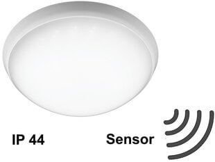 Светодиодный светильник с датчиком движения G.LUX GR-CP-LED-15W/SENSOR цена и информация | Потолочный светильник | 220.lv