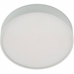 LED lampa G.LUX GW-800-LED 16W цена и информация | Потолочные светильники | 220.lv