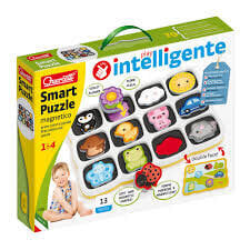 Attīstoša puzle Quercetti Play Intelligente Smart Puzzle cena un informācija | Attīstošās rotaļlietas | 220.lv