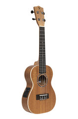 Elektroakustiskā koncerta ukulele Stagg UC-30 E цена и информация | Гитары | 220.lv
