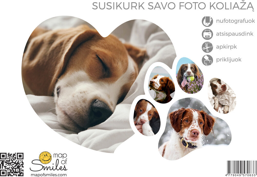 kolāžas foto rāmis 6 fotogrāfijas ar koka rāmi PETS цена и информация | Pasaules kartes | 220.lv