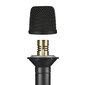 Kondensatora vokālais mikrofons Stagg SCM300 cena un informācija | Mikrofoni | 220.lv