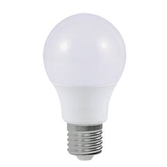 Солнечная светодиодная лампа STRÜHM estera led wll 0,12w 6500k, 260 x 145 x 195 мм цена и информация | Лампочки | 220.lv