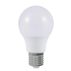 Солнечная светодиодная лампа STRÜHM iris led 38 0,06w 4500k, 385 x 80 x 80 мм цена и информация | Лампочки | 220.lv