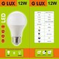 LED spuldzes G.LUX GR-LED-A60-12W 4000K, 10 gab.. Iepakojums цена и информация | Spuldzes | 220.lv