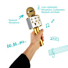 Karaoke mikrofons - skaļrunis ar balss maiņas efektiem WS-858 cena un informācija | Attīstošās rotaļlietas | 220.lv