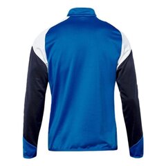 Džemperis vīriešiem Puma Esito 4 1/4 zip training top, zils/balts cena un informācija | Vīriešu jakas | 220.lv