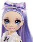 Rainbow High Cheer Doll - Violet Willow (Purple) цена и информация | Rotaļlietas meitenēm | 220.lv