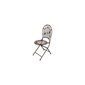 Metāla izvelkams krēsls, brūns cena un informācija | Dārza krēsli | 220.lv