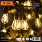 LED āra vītne G.LUX GR-LED-STRING 20W cena un informācija | Āra apgaismojums | 220.lv