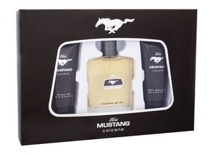 Komplekts Ford Mustang Mustang: EDT vīriešiem 100 ml + dušas želeja 100 ml + pēcskūšanās balzams 100 ml cena un informācija | Ford Mustang Smaržas, kosmētika | 220.lv