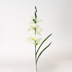 Mākslīgā gladiola cena un informācija | Mākslīgie ziedi | 220.lv