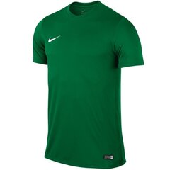 Спортивная футболка для мальчиков Nike Park VI Junior 725984-302, 44042, зеленая цена и информация | Рубашки для мальчиков | 220.lv