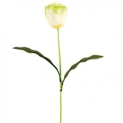 Mākslīga tulpes zieds цена и информация | Искусственные цветы | 220.lv