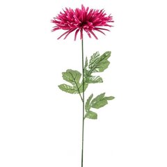 Mākslīgs krizantēmas zieds, 5 gab. cena un informācija | Mākslīgie ziedi | 220.lv