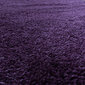 Ayyildiz paklājs Fluffy Lila 3500 120x170 cm цена и информация | Paklāji | 220.lv