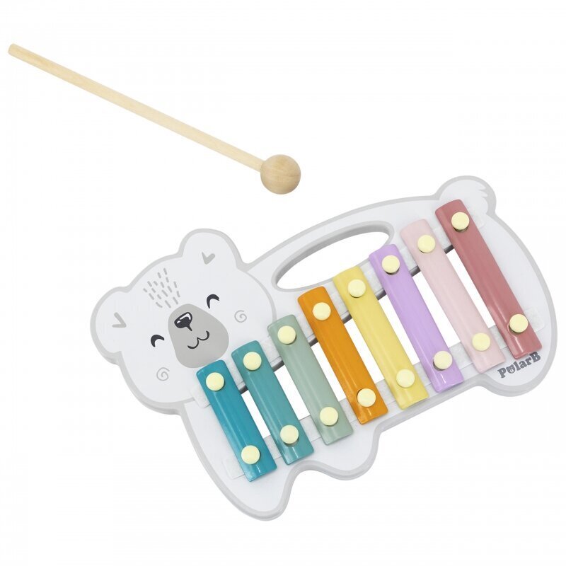 Koka ksilofons „Polārlācis” Viga PolarB cena un informācija | Rotaļlietas zīdaiņiem | 220.lv