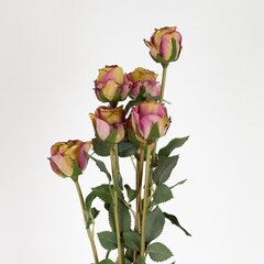 Mākslīgo rožu pušķis cena un informācija | Mākslīgie ziedi | 220.lv