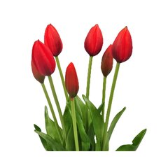 Mākslīgo tulpju pušķis cena un informācija | Mākslīgie ziedi | 220.lv