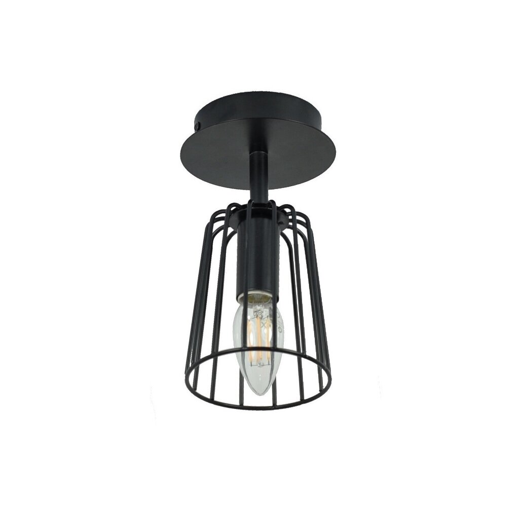 Sienas lampa G.LUX GM-107/1A WIRE cena un informācija | Sienas lampas | 220.lv