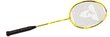 Badmintona rakete Talbot torro Isoforce 651.8 cena un informācija | Badmintons | 220.lv