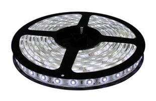 LED lenta 5m IP65 ar transformatoru cena un informācija | LED lentes | 220.lv