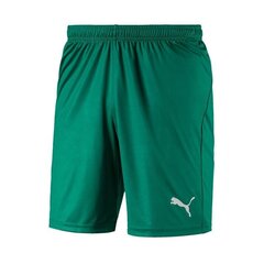 Футбольные шорты Puma Liga Shorts Core Pepper Green цена и информация | Мужская спортивная одежда | 220.lv