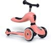 Skrejritenis - trīsritenis Scoot & Ride 2in1, rozā цена и информация | Skrejriteņi | 220.lv