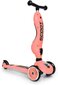 Skrejritenis - trīsritenis Scoot & Ride 2in1, rozā cena un informācija | Skrejriteņi | 220.lv