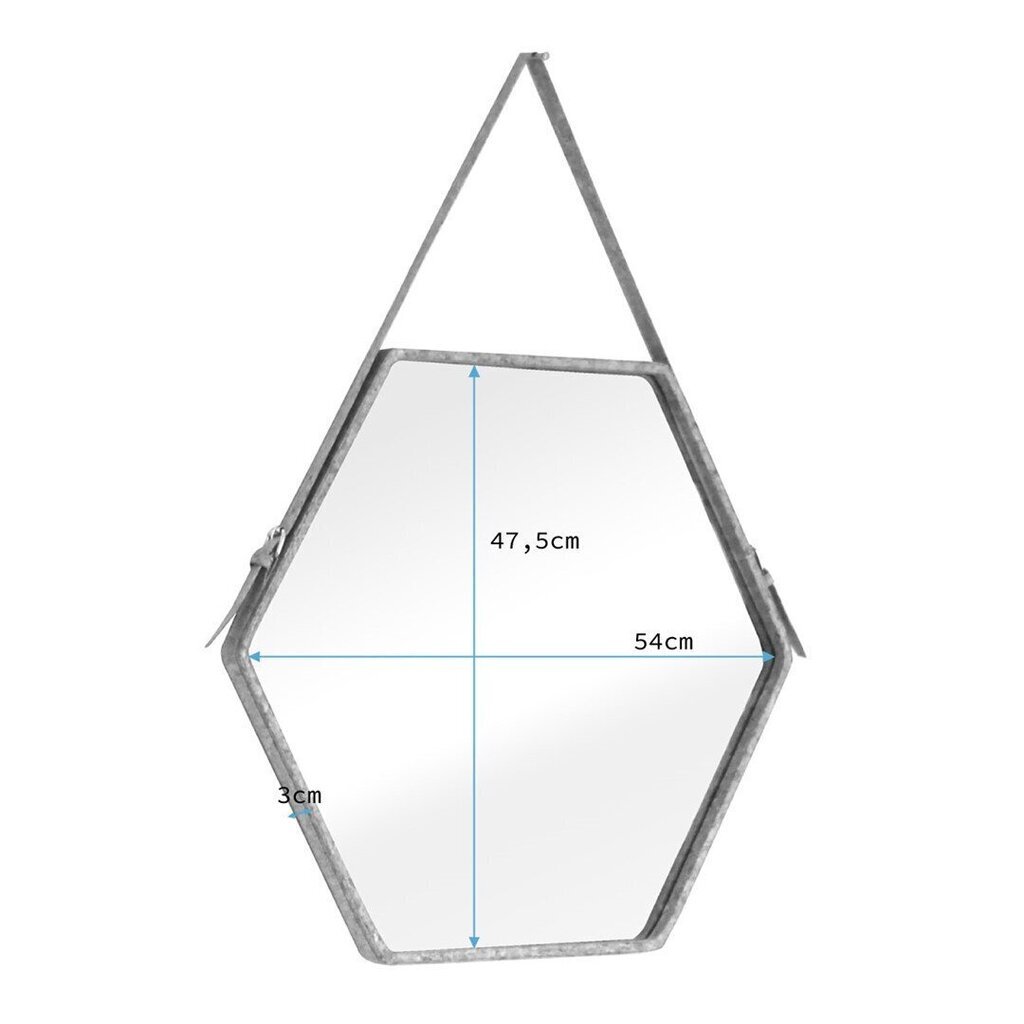 Spogulis Homede Eib, 54 cm, brūns cena un informācija | Spoguļi | 220.lv