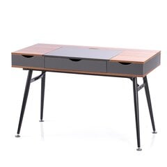 Письменный стол Homede Faryn, коричневый/черный цена и информация | Компьютерные, письменные столы | 220.lv